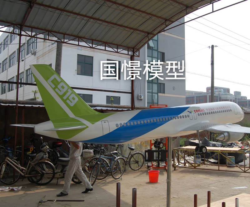 靖安县飞机模型